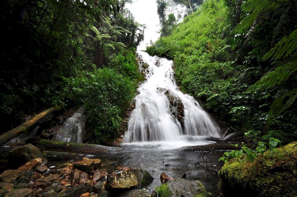 Sanctuary Gorilla Forest Camp Hotel Ntungamo  Esterno foto
