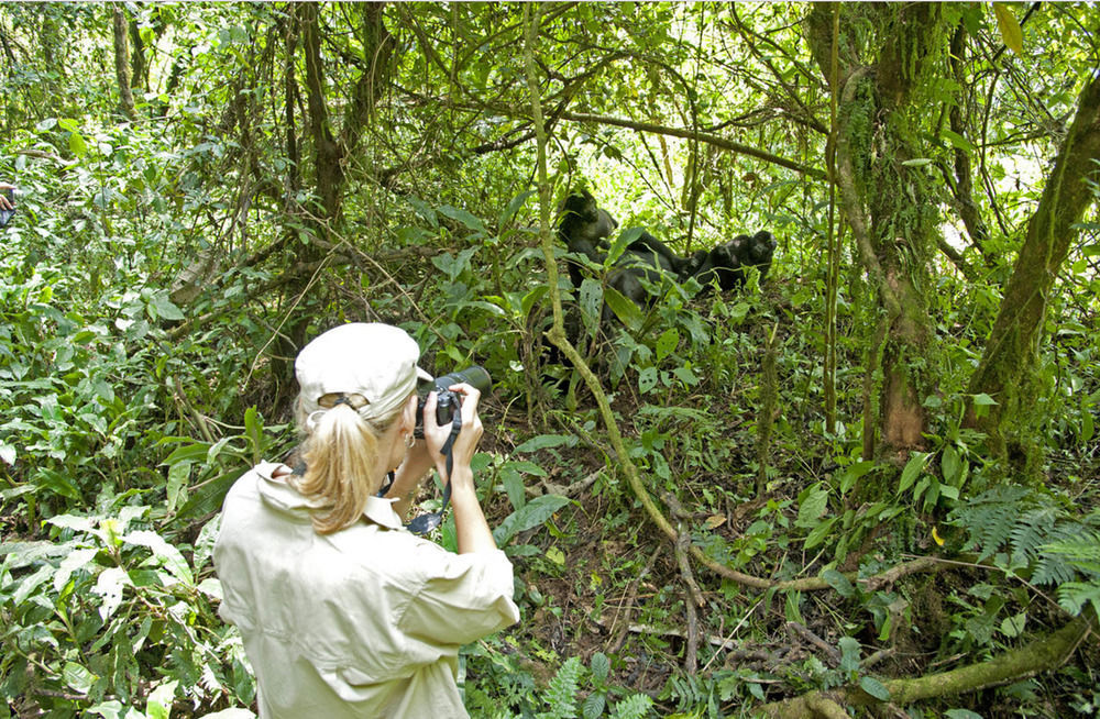 Sanctuary Gorilla Forest Camp Hotel Ntungamo  Esterno foto